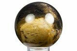 Polished Petrified Palm Wood Sphere - Indonesia #308224-1